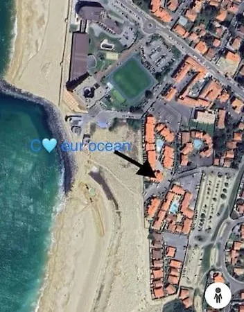 Coeur Ocean - 50 M De La Plage - Vue Dune Et Ocean - 5 Pers