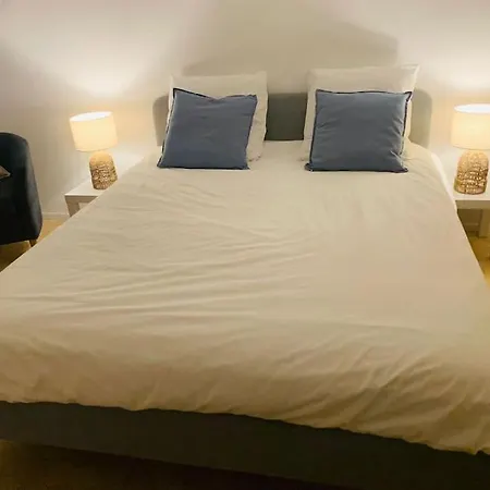 公寓 Coeur Ocean - 50 M De La Plage - Vue Dune Et Ocean - 5 Pers *