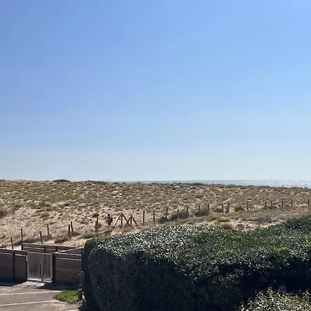 公寓 Coeur Ocean - 50 M De La Plage - Vue Dune Et Ocean - 5 Pers *