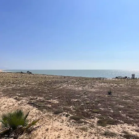 公寓 Coeur Ocean - 50 M De La Plage - Vue Dune Et Ocean - 5 Pers *
